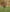 Old Johnians - Home