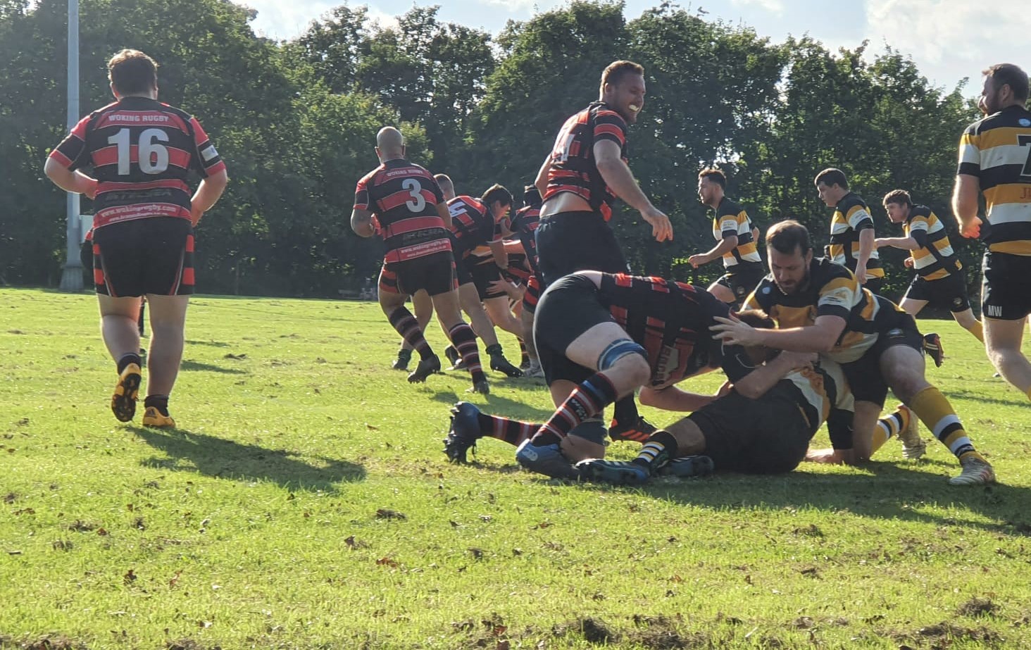 Encouraging signs as Woking Rugby Club prepare for start of new season.